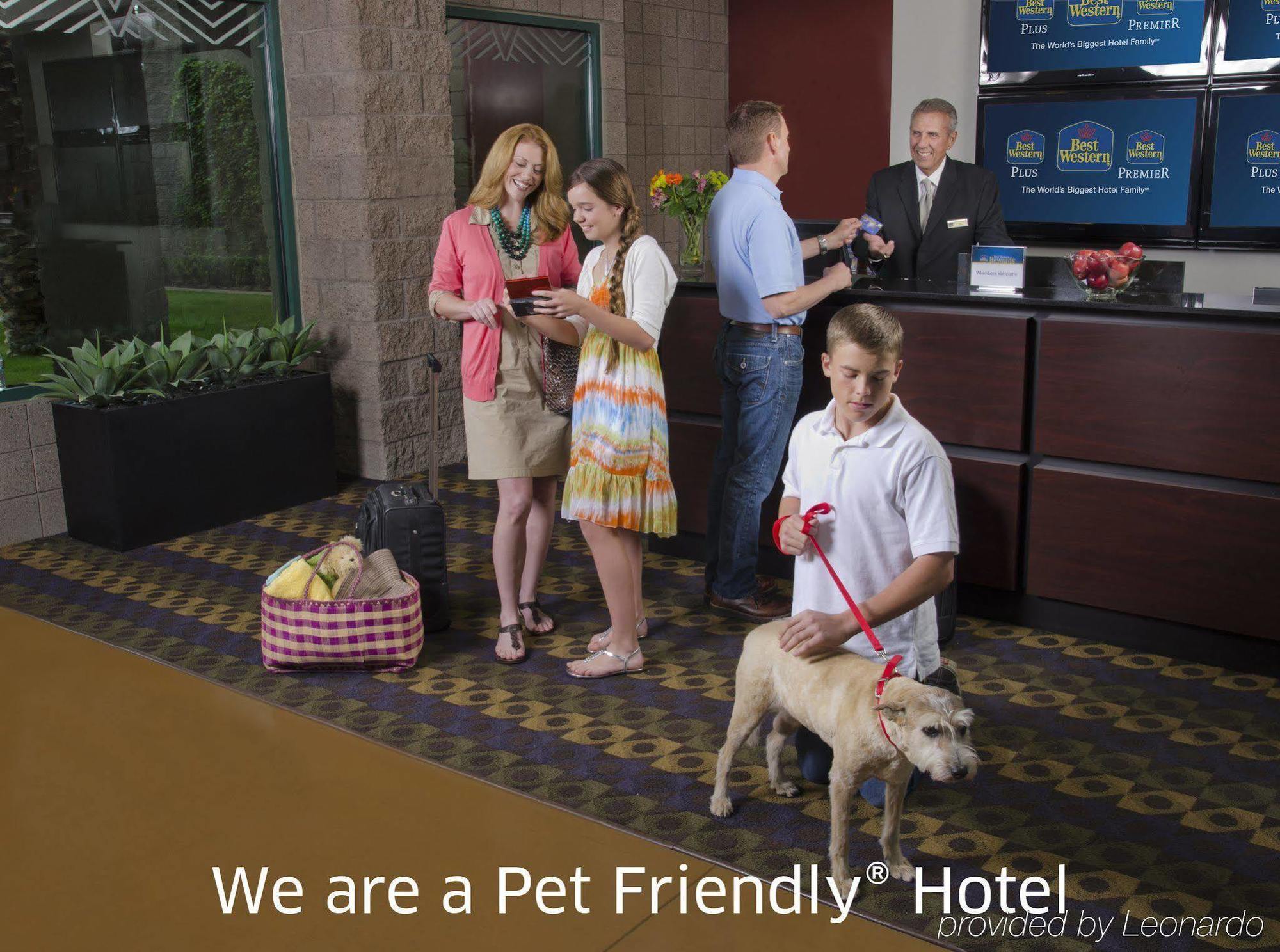 Best Western Plus Waltham Boston Esterno foto